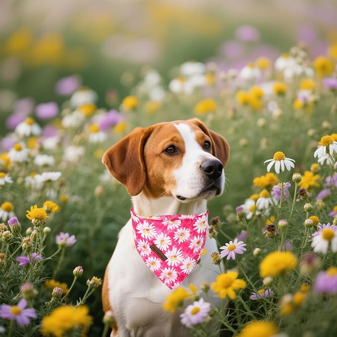 Unique Style Paws Dog Spring Bandanas 2Pcs Washable Cotton Triangle Summer Rose Daisy Flower Puppy Scarfs for Small Medium Large Dogs and Cats