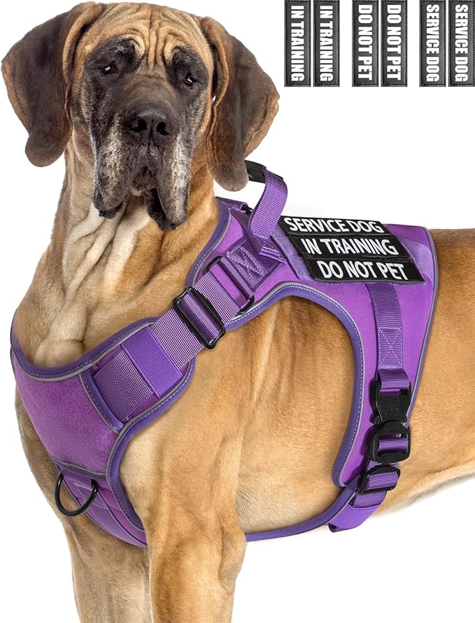 Reflective Service Dog in Training Vest Harness for Extra Large Dogs, Adjustable Heavy Duty Padded Purple Dog Harness, with Front Clip and Metal Buckles Do Not Pet for Training, Hiking