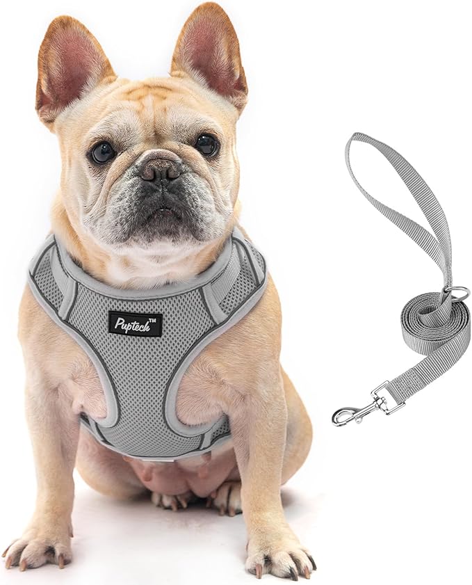 PUPTECK Dog Harness and Leash Set for Small Medium Dogs No Pull, Soft Mesh Adjustable Puppy Cat Harness Reflective at Night, Grey XS