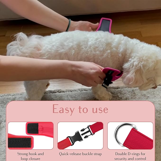 Comfort fit Step-in Dog & Puppy Harness - Comfortable All Weather Dog Vest Harness: Adjustable, Soft Padded, Easy to Put-on for Small, Medium-Sized Dogs.