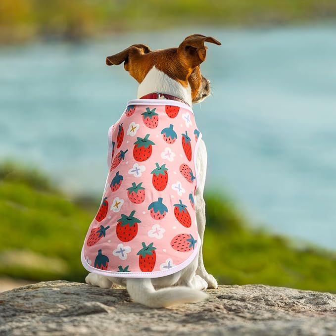 Paterr 25 Pcs Dog Shirts Printed Puppy Clothes Breathable Cartoon T Shirt for Dog Soft Puppy Clothing Lovely Pet Shirts Outfits for Pet Dogs Cats Summer Party Holiday, 25 Styles (Size: L)