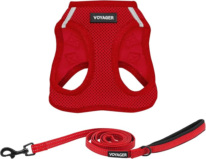 Voyager Step-in Air All Weather Mesh Harness and Reflective Dog 5 ft Leash Combo with Neoprene Handle, for Small, Medium and Large Breed Puppies by Best Pet Supplies - Harness Leash Set (Red), XS