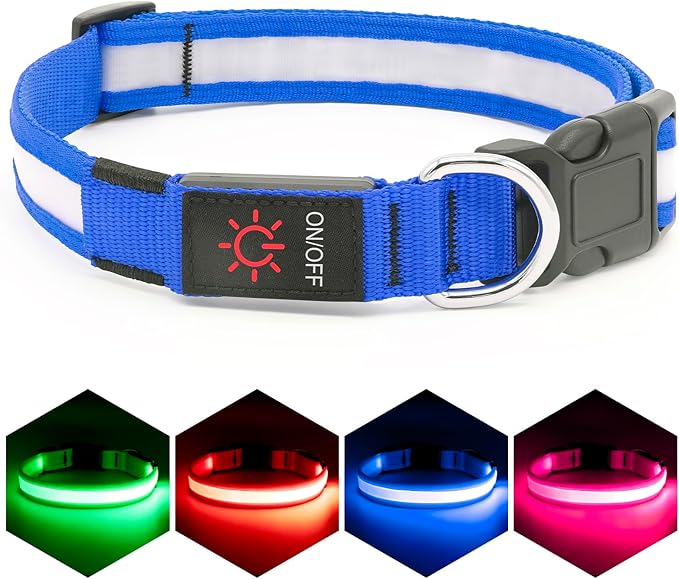 Vizpet LED Dog Collar, Light Up Dog Collar Adjustable USB Rechargeable Super Bright Safety Light Glowing Collars for Dogs(Small,Blue)