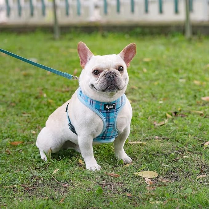 PUPTECK Soft Mesh Dog Harness and Leash Set Pet Puppy Cat Comfort Padded Vest No Pull Harnesses, Light Blue, S