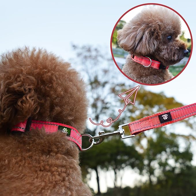 NESTROAD Reflective Dog Collar and Leash Set,Soft Neoprene Pet Collar with Quick Release Buckle,Adjustable Nylon Dog Collars for Small Medium Large Dogs(Medium Collar + 5FT Leash,Red)