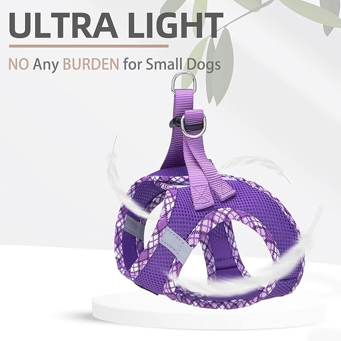 PUPTECK Dog Harness and Leash Set for Small Medium Dogs No Pull Step-in Soft Mesh Puppy Cat Vest Harnesses Reflective at Night, Purple L