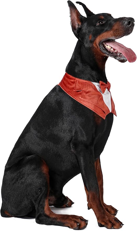 Dog Tuxedo Collar Suit for Wedding Engagement and Birthday, Halloween Formal Tux Bandana Costume with Orange Bow Tie and Adjustable Buckle,Suitable for X-Large Pup(Orange, XL)