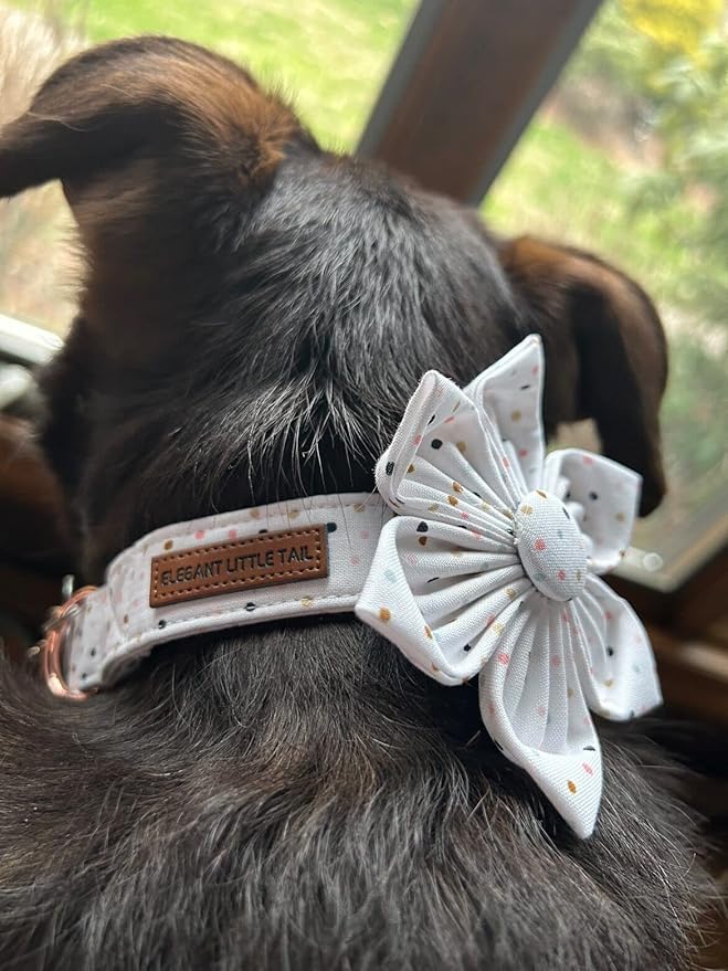 Elegant little tail Dog Collar, Dog Collar with Flower, Boy Girl Dot Cute Pet Collar Flower Dog Collars Adjustable Dog Collar for Medium Dogs