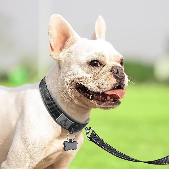 Joytale Dog Collar for Small Dogs, Neoprene Padded and Adjustable, Reflective Wide Heavy Duty Pet Collars with Durable Metal Belt Buckle for Walking, Black, S