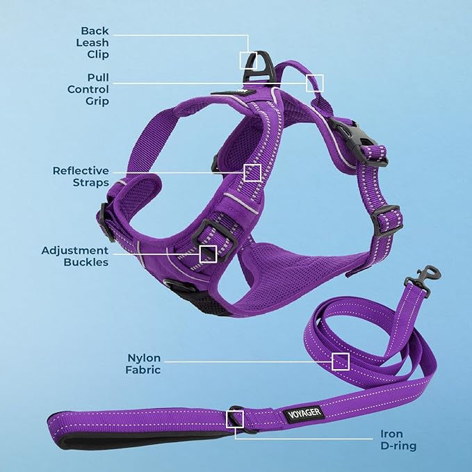 Dog Harness Dual Leash Attachment No-Pull Control Adjustable Soft but Strong Pet Harness for Medium and Large Dogs with 3M Reflective Technology - Harness Leash Set (Purple Lattice), M