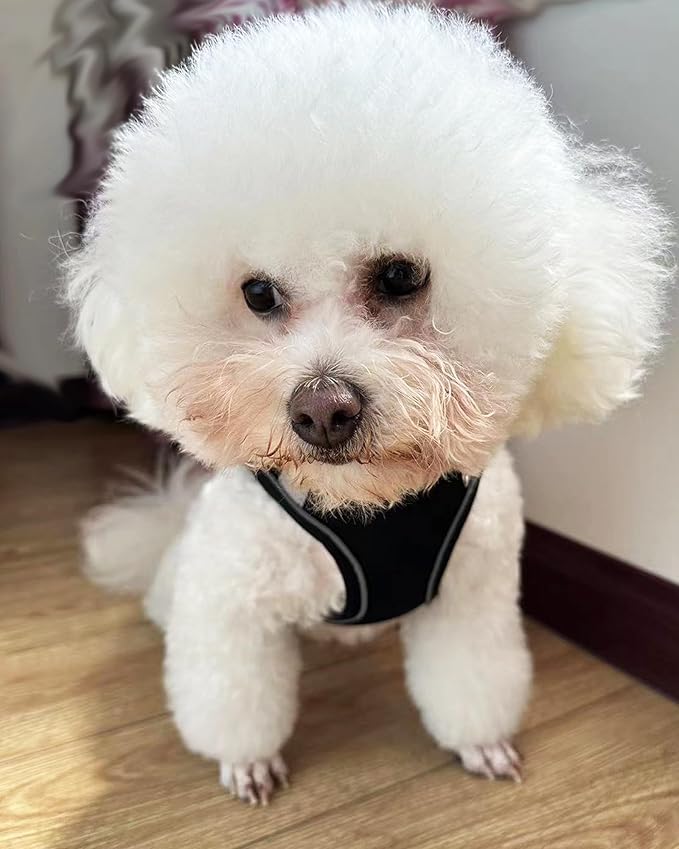 Solmoony Dog Harness - No Pull, Mesh for Small Medium Dogs - Step in, Puppy Set (Black, S)