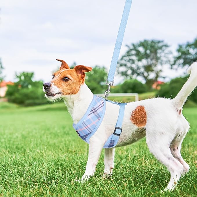 SCENEREAL Puppy Dog Harness with Leash Set for Small Medium Sized Dogs, Soft Mesh Step in Pet Harnesses and Leash, No Chock Plaid Adjustible No Pull Vest for Dogs Cats, Chihuahua,Bulldog (Blue XS)