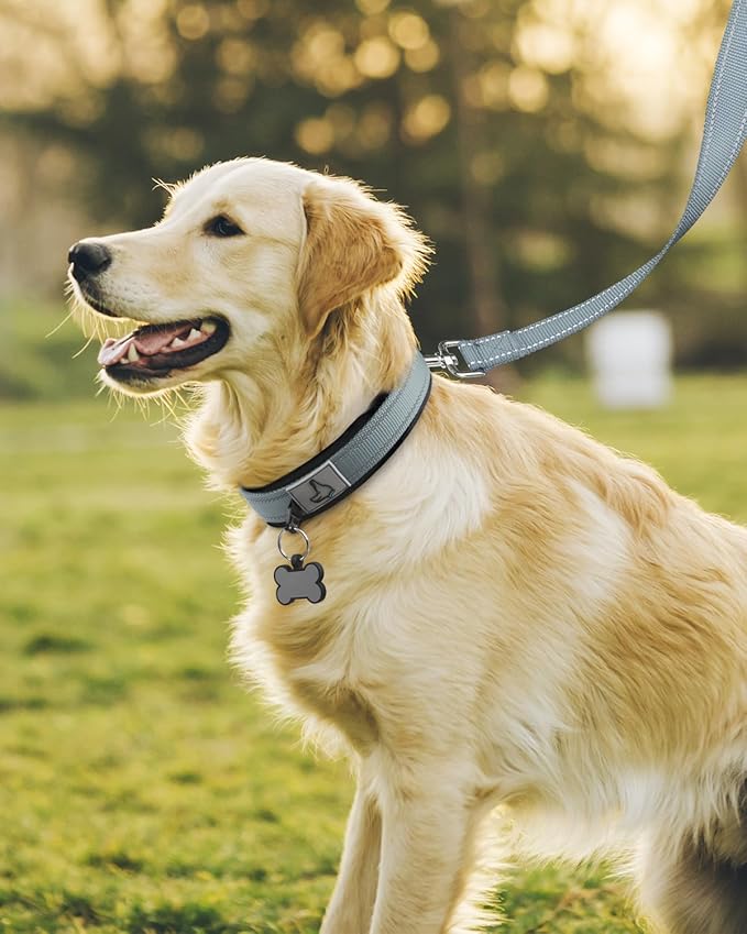 Joytale Dog Collar for Large Dogs, Neoprene Padded and Adjustable, Reflective Wide Heavy Duty Pet Collars with Durable Metal Belt Buckle for Walking, Gray, L