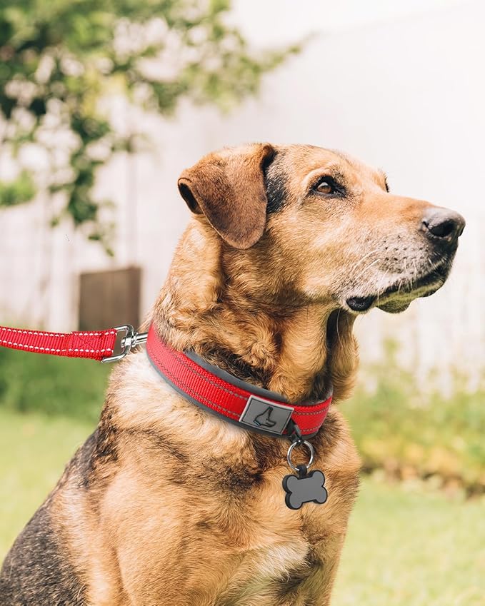 Joytale Dog Collar for Extra Large Dogs, Neoprene Padded and Adjustable, Reflective Wide Heavy Duty Pet Collars with Durable Metal Belt Buckle for Walking, Red, XL