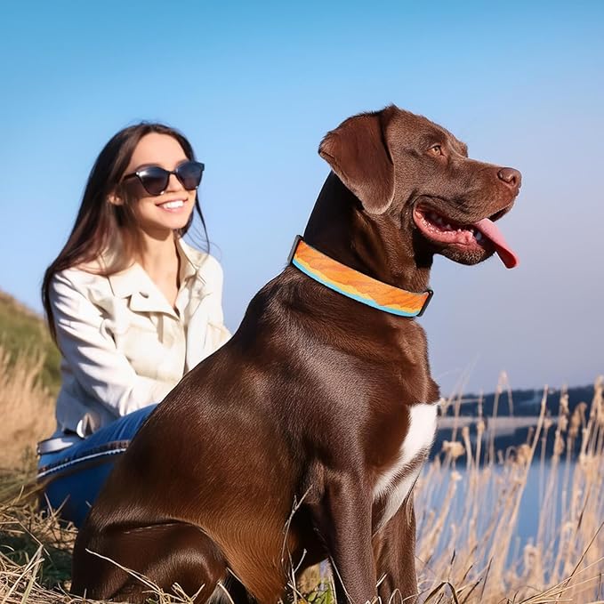 Timos Dog Collar, Adjustable Soft Dog Collar for Small Medium Large Dogs, Patterned Puppy Collars with Quick Release Buckle for Boy and Girl Female Dogs,S Length 9.84''-14.96'