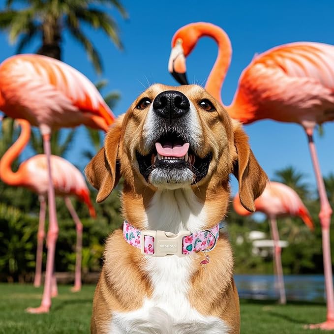 DOGWONG Flamingo Dog Collar - Adjustable Summer Hawaiian Dog Collar for Girl and Boy Dogs with Quick Release Buckle