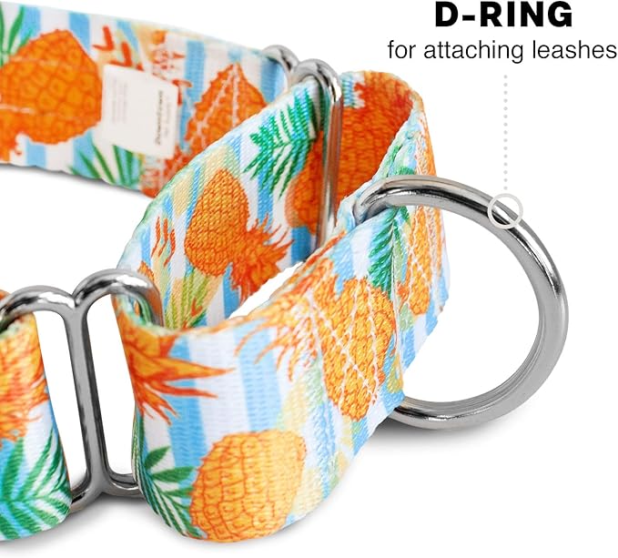 Downtown Pet Supply - Martingale Collar for Dogs - Dog Training Collar - Big, Wide & Thick Dog Collar - Escape-Proof, Weatherproof, Durable and Comfortable - Pineapple - Medium Dog Collar