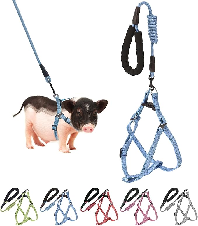 Mini Pig Harness, Adjustable Small Pig Harness with Leash Infinity Style Lead and Soft Foam Handle for Small to Medium Pet Pigs Walking Training Jogging (Blue, XL)