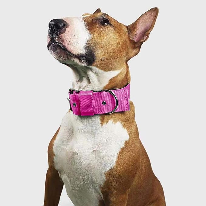 Heavy Duty Tactical Dog Collar - 1.5" Width Military Durable Thick Nylon with Adjustable Metal D Ring & Buckle Working Training K9 Collar for Medium Large Dogs (S(14"-17"), Hot Pink)