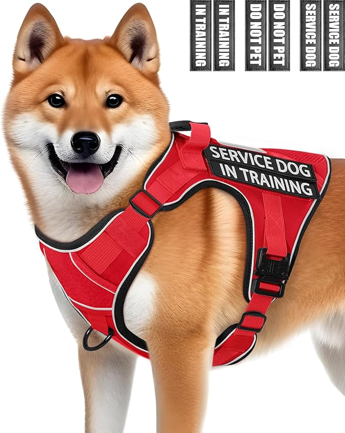 Reflective No Pull Service Dog in Training Vest Harness for Medium Large Dogs, Red Metal Buckles Front Clip Comfort Padded Adjustable Dog Harness with Do Not Pet Patches for Training Walking