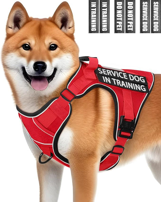 Reflective No Pull Service Dog in Training Vest Harness for Medium Large Dogs, Red Metal Buckles Front Clip Comfort Padded Adjustable Dog Harness with Do Not Pet Patches for Training Walking