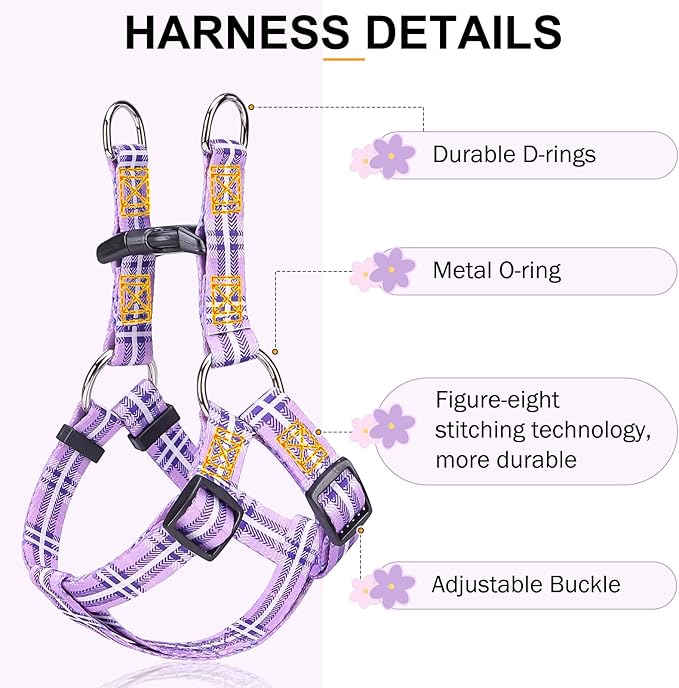BEAUTYZOO No Pull Dog Harness and Leash Set - Adjustable Step-in Puppy Harness for Small Medium Large Dogs, Escape Proof Soft Nylon Vest with Double D Ring for Walking Running Training, Purple XS