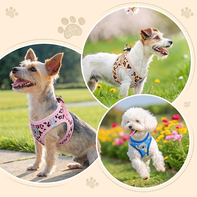 BEAUTYZOO Step in Dog Harness and Leash Set,Reflective Dog Harness No Pull No Choke Puppy Harness for Small Medium Large Dogs Cats,Soft Padded Mesh Vest Harnesses for Girl and Boy Pets, Duck Blue S