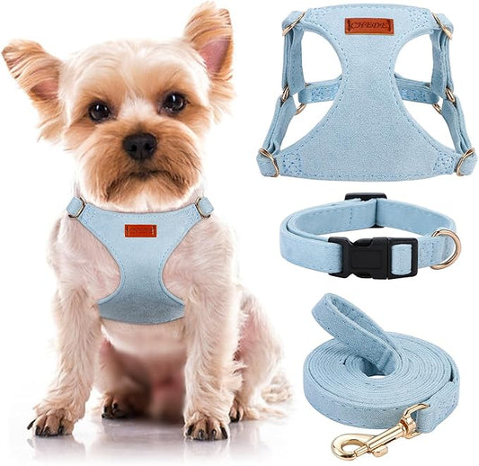 No Pull Dog Harness- Lightweight, Soft, Adjustable Small Harness Collar and Leash Set, Suitable for Cats Puppy Small and Medium-Sized Dog Outdoor Training and Running (Blue, XXS)