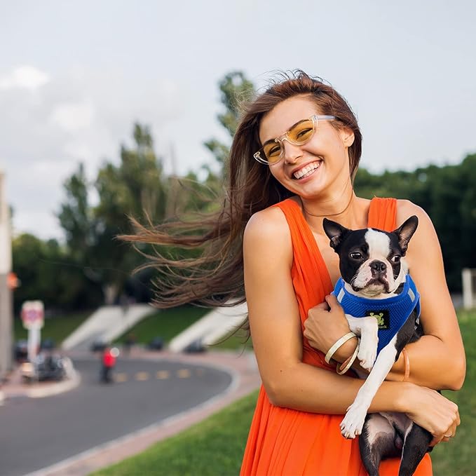 EcoBark Step in Dog Harness - Reflective Soft Luxurious Mesh Dog Harnesses for Small and Medium Breed Dogs - Eco-Friendly Comfort Secure Halter No Pull Adjustable Pet Vest (Royal Blue, XL)