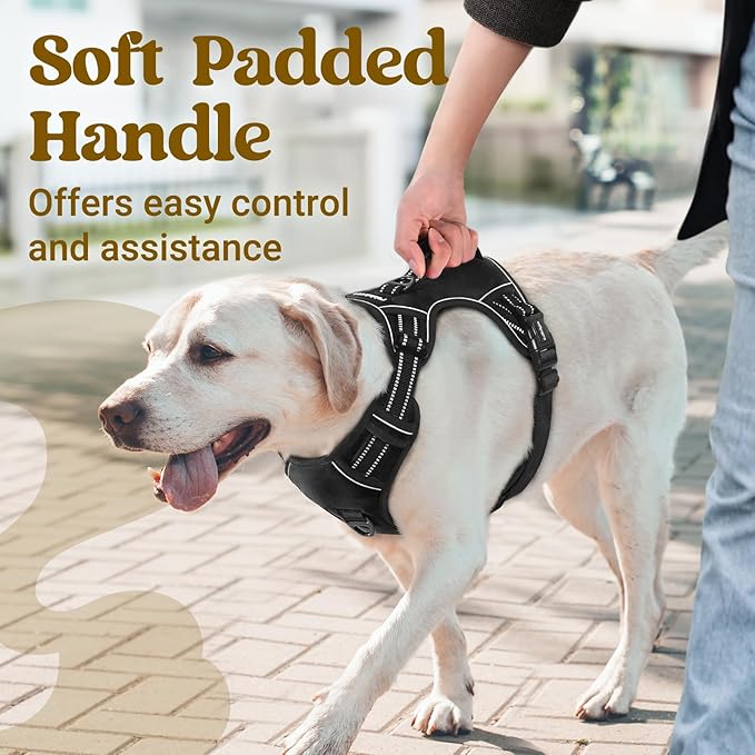 rabbitgoo Dog Harness Medium Sized, No Pull Pet Harness with Soft Padded Handle, Adjustable Reflective Vest with 3 Buckles, Easy Walking Harness with 2 Leash Clips, Black, M