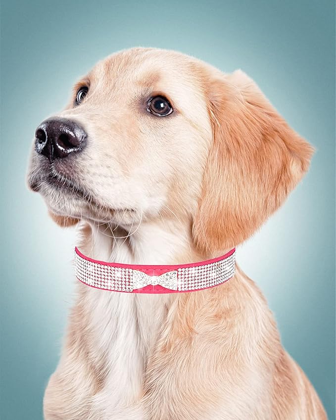 Dog Collar for Small Dogs, Adjustable Leather Suede Bling Dog Collars，Pink Dog Collar Cat Collar, Rhinestone Dog Collar (L, purple4)
