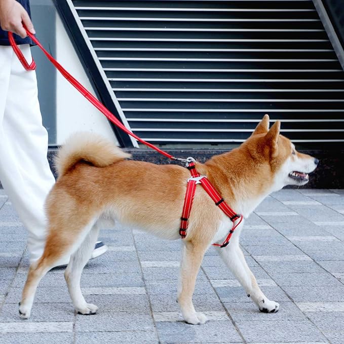 EXCELLENT ELITE SPANKER No Pull Dog Harness Adjustable Nylon Step-in Easy Pet Vest Chest Strap with Reflective and Leash Ring for Small Medium Large Breed Dogs Training Walking(Red-S)