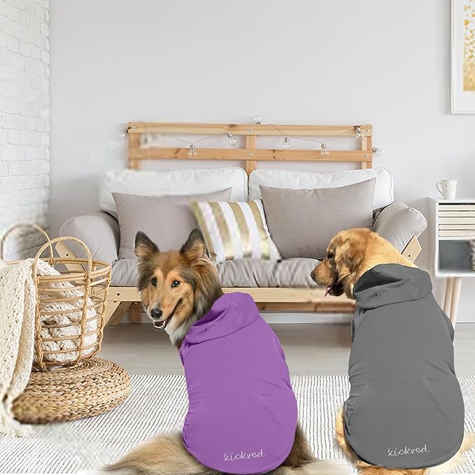 2 Pieces Basic Cotton Dog Hoodie Sweater, Soft Pet Clothes Dog Sweatshirts, Dog Outfit Coat Pullover with Pocket and Leash Hole for Small Medium Large Dogs, Dark Grey & Purple/Sleeved (Large)