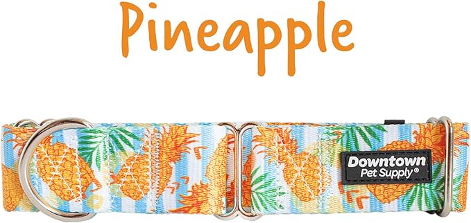 Downtown Pet Supply - Martingale Collar for Dogs - Dog Training Collar - Big, Wide & Thick Dog Collar - Escape-Proof, Weatherproof, Durable and Comfortable - Pineapple - Medium Dog Collar