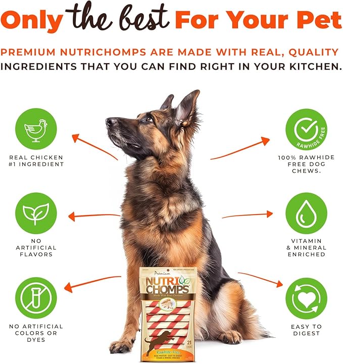 NutriChomps Dog Chews, 6-inch Twists, Easy to Digest, Long Lasting, Rawhide-Free Dog Treats, 15 Count, Real Chicken flavor