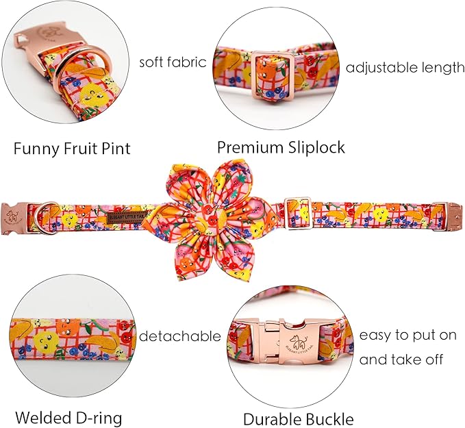 Elegant Little Tail Girl Dog Collar with Flower - Summer Flower Collar for Small to Large Dogs