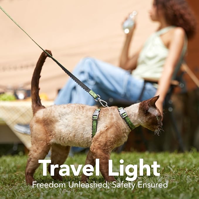 Cat Harness and Leash Set - Escape Proof Adjustable Cat Harness, Comfortable Soft Lightweight, Use Safe & Easy, Walking Travel Kitten Harness for Small Medium Large Cats (Green Growling Crocodile)