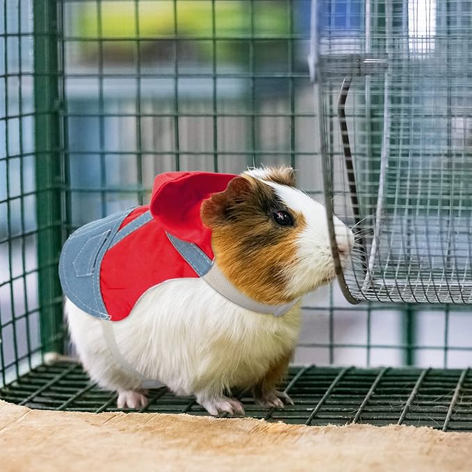 Rabbit Harnesses and Leashes Rabbit Supplies Bunny Walking Harnesses Leashes Suitable for Walking with Kittens and Puppies(Small,Red)