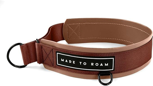 MADE TO ROAM Premium Everyday Dog Collar - Martingale Style No Pull Vegan Leather Collar, Heavy Duty and Lightweight for Small, Medium, Large Dogs (Arizona Heartbeat, Size 12)