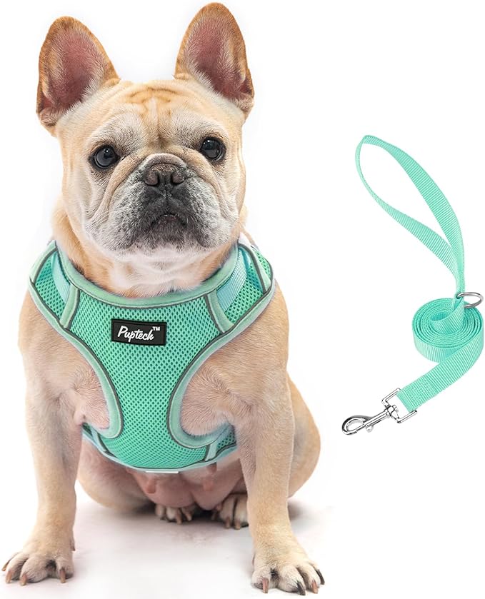 PUPTECK Dog Harness and Leash Set for Small Medium Dogs No Pull, Soft Mesh Adjustable Puppy Cat Harness Reflective at Night, Green S