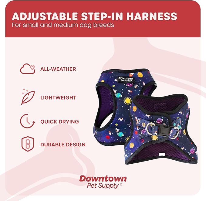 Downtown Pet Supply Step in Dog Harness for Small Dogs No Pull, Large, Space - Adjustable Harness with Padded Mesh Fabric and Reflective Trim - Buckle Strap Harness for Dogs