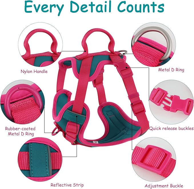 No Pull Dog Harness Adjustable Soft Padded Pet Vest with Control Handle Adorable Daily Harness for Dogs（Viridian Green M）