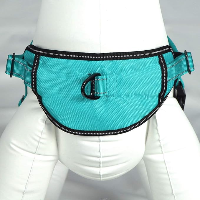Max and Neo Passport Reflective Dog Harness - We Donate a Harness to a Dog Rescue for Every Harness Sold (Medium (19"-24.5" Chest Girth), Teal)