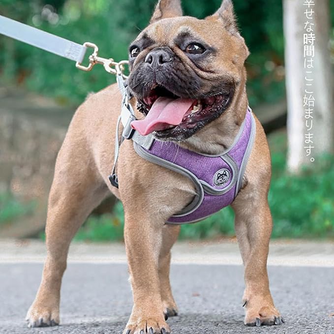 Large Dog Harness and Leash Set,No Pull Adjustable Step in Soft Mesh Vest Harness,Easy Walk Reflective Pet Harness with Padded Handle for Walking Training Small Medium Large Dogs and Cats (Purple, L)