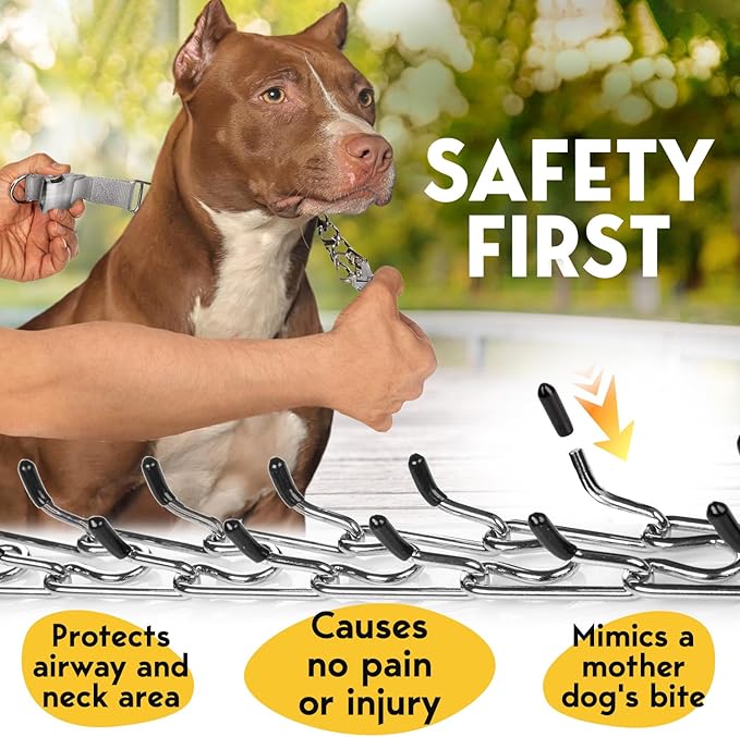 PetJett Prong Collar for Dogs - No Pull Choke Collar, Pinch Collar, Dog Training Collar & Dog Walking Tool for Small, Medium, or Large Breed - Stainless Steel Metal Choker Chain