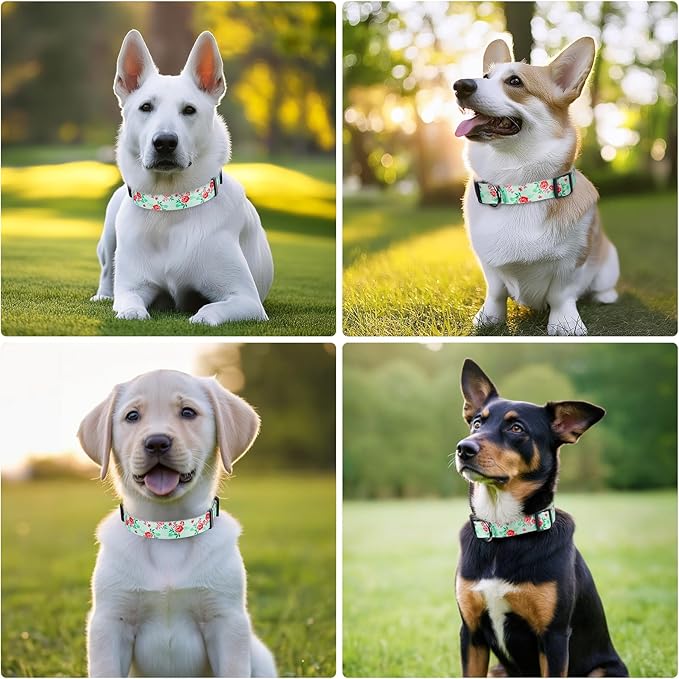 Timos Dog Collar, Adjustable Soft Dog Collar for Small Medium Large Dogs,Print Patterned Puppy Collars with Quick Release Buckle for Boy and Girl Female Dogs,M Length 13.39''-20.87''
