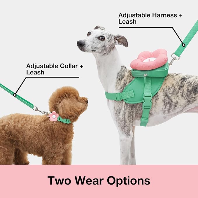 VETRESKA Flora Dog Harness, Leash and Collar Set, No Pull Dog Vest Harness for Walking and Training, Adjustable, Easy Control and Soft Padded Pet Harness and Backpack for Small Medium Large Dogs, L