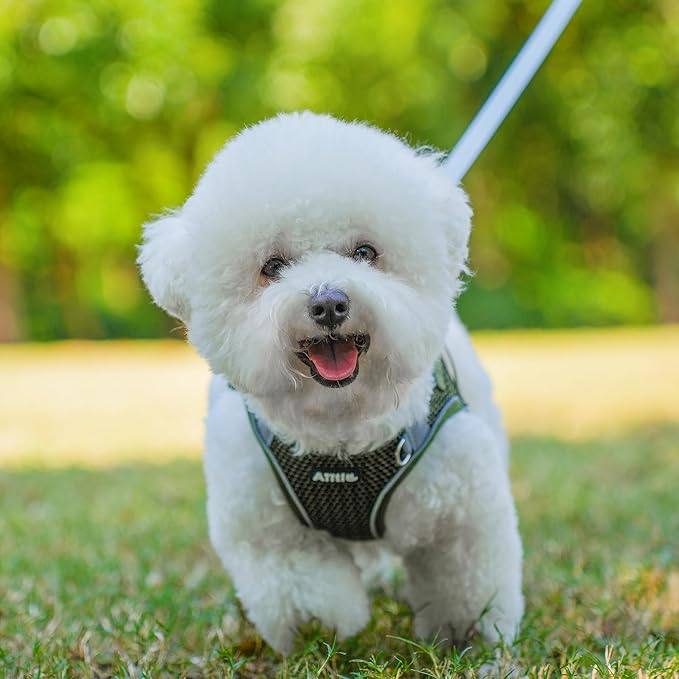 AIITLE No Pull Harness for Small Dogs - Step in Puppy Harness with Super Breathable Mesh, Reflective Adjustable Pet Harness for Outdoor Walking, Training for Small Dogs, Cats Army Green XS