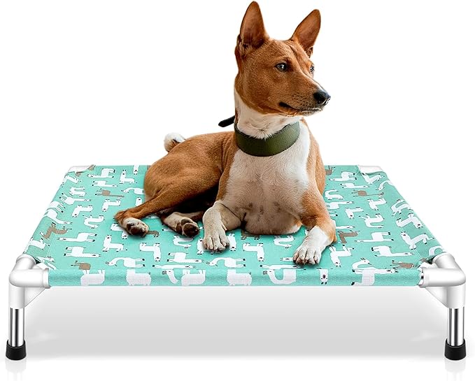 Elevated Dog Bed Pet cot - Pet Bed for Medium Dogs | Elevated Pet Bed for Indoor and Outdoor Use for Medium Pets