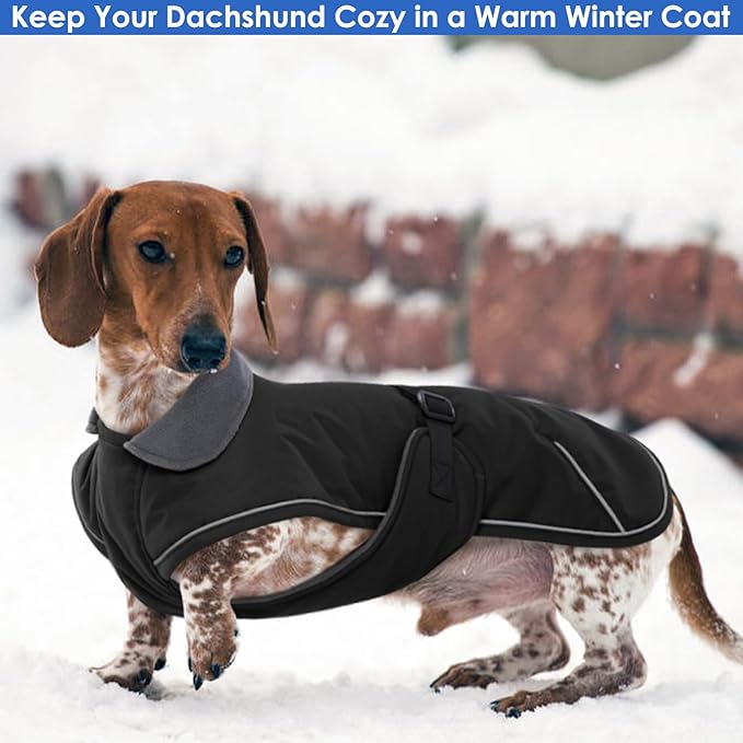 Dog Coat - Perfect for Dachshunds, Black, Large - Waterproof Winter Coat with Fleece Lining, Built-in Harness, Adjustable Closure